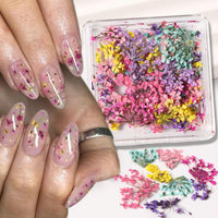 Thumbnail for 4Box 3D Dried Flowers Nail Art Nail Nail Wraps Colorful Dry Flower for Nails Kit - DIY Mini Mix Flower Petals Nail Nail Nail Wraps Natural Floral Dried Flower Decals for Nails Design Manicure Accessories Craft