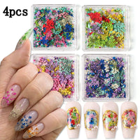 Thumbnail for 4Box 3D Dried Flowers Nail Art Nail Nail Wraps Colorful Dry Flower for Nails Kit - DIY Mini Mix Flower Petals Nail Nail Nail Wraps Natural Floral Dried Flower Decals for Nails Design Manicure Accessories Craft