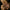 Dune Glimmer