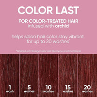 Thumbnail for Biolage Biolage Color Last Shampoo | Helps Maintain Vibrant Color